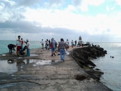 http://s3.hubimg.com/u/5816274_f248.jpg