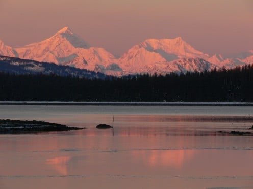 A View from Bartlett Cove