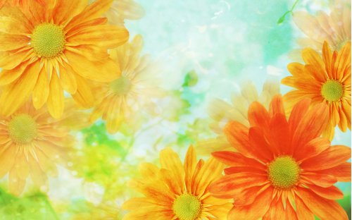Go to http://www.free-wallpapers-free.com/preview/flower-art-sun-daisy-1/ to get free wallpaper!