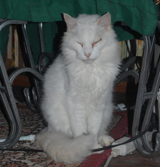 'Tuff' Tough, Emperor of his own.