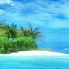 TropicalSnowAngel profile image