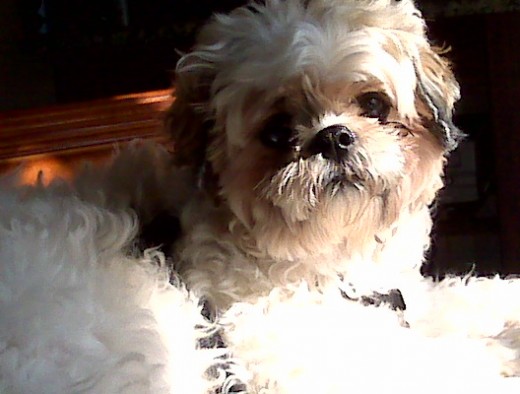 Sunbathing