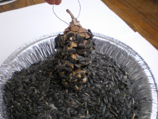 Finished Pine Cone