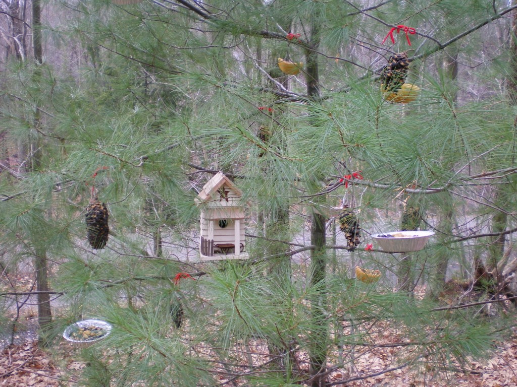 Create an Edible Christmas Tree for the Birds