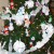 Center of snow themed tree. Center of snow themed tree.