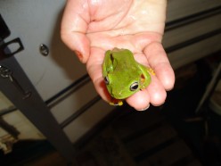 http://s1.hubimg.com/u/5823992_f248.jpg