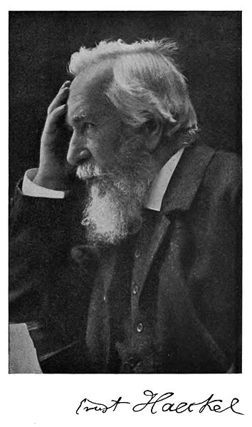 Ernst Haeckel (1834-1919).