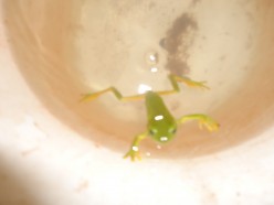 http://s4.hubimg.com/u/5833611_f248.jpg