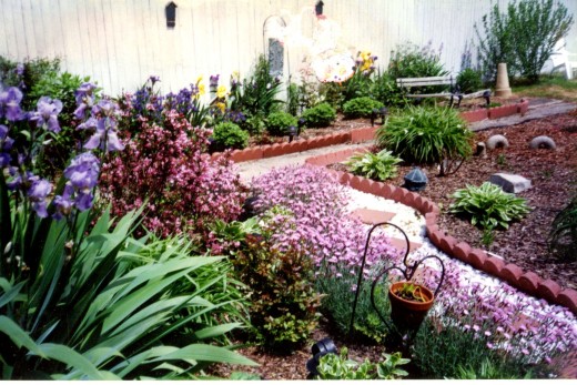 last year's on the left the new garden on the right