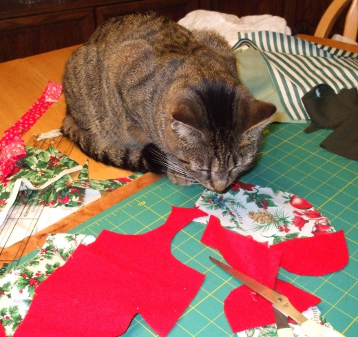 My cat, Skeeter, supervises the creation of his special Christmas stocking.