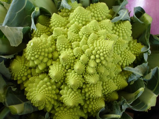 The amazing fractal patterns of Romanesco broccoli.