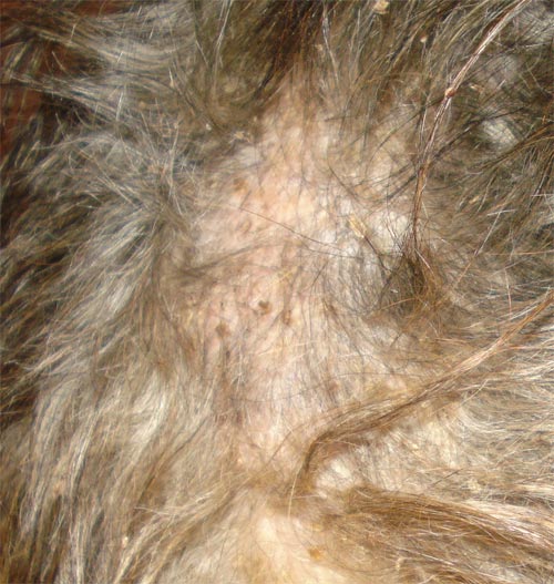 at its better stages of healing