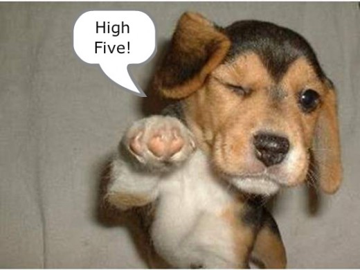Doggie "high five" - just too cute!