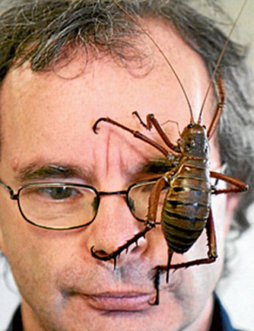 Ewwww... I'm going to have nightmares tonight!