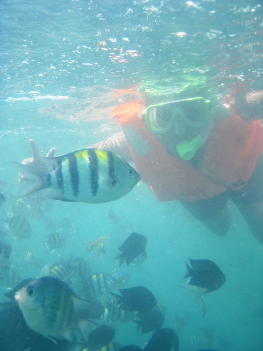 Snorkeling at Isla Pandan, Honda Bay
