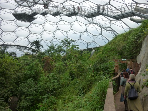 The walkway high up in the biome for looking down on the forest canopy. Not recommended if you have vertigo.