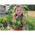 I love growing watermelon almost as much as I love eating it! I love growing watermelon almost as much as I love eating it!