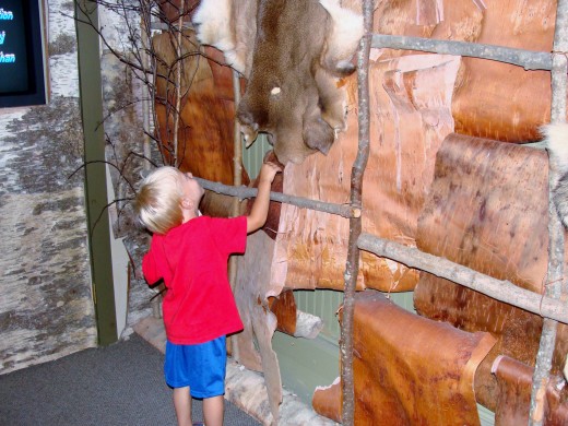 Alex explores the furs that are displayed.