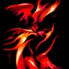 crickettechnique profile image