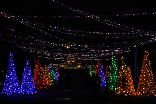 Holiday lights at Sesame Place