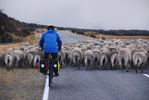 You might encounter heavy traffic like this on your bike rides for weight loss. 
