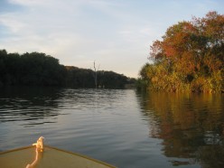 http://s2.hubimg.com/u/5868417_f248.jpg