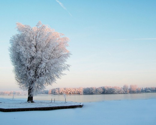 Save money during cold, snowy, winter months!
