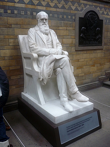 Charles Darwin Statue at the Natural History Museum, London. Source: Paul 8032 CC BY 2.0 via flickr creative commons