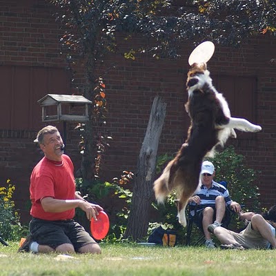 This is cool to watch. The Frisbee can't touch the ground and the trick is to do all kinds of stunts!