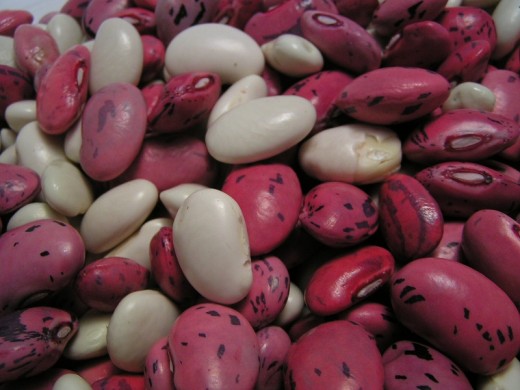 Beans (legumes) are a source of lean protein.