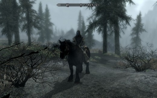 ... And when the mask glitches out (which happens a LOT), my character looks like a Naz'gul. Fair trade. 