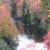 Soon the weeping willows will blend in to make something So Beautiful.... like this Soon the weeping willows will blend in to make something So Beautiful.... like this