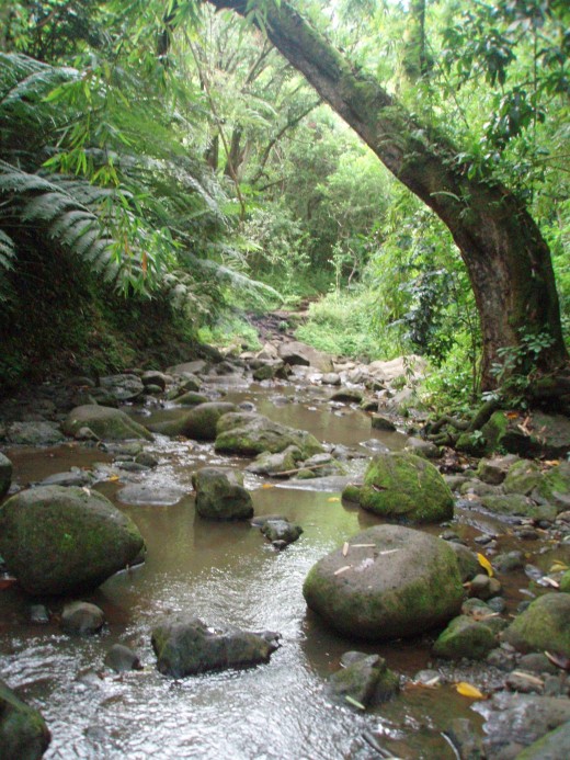 a random river 