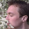 Alreu profile image
