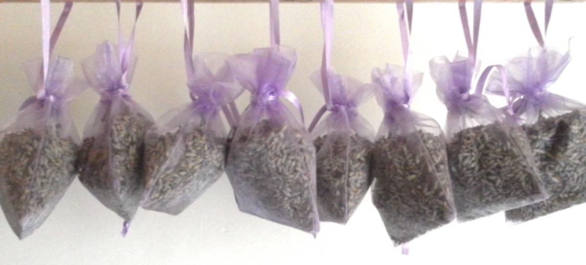 Fun With Dried Lavender Flowers: Craft Ideas and Recipes | FeltMagnet