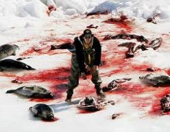The Annual Canadian Seal Hunt --- Brutality Revealed