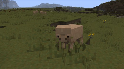 Minecraft pig texture. 