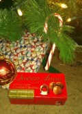 Gluten-Free Goodies: Surviving the Holidays on a Gluten-Free Diet