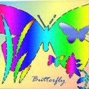 rainbowbutterfly profile image