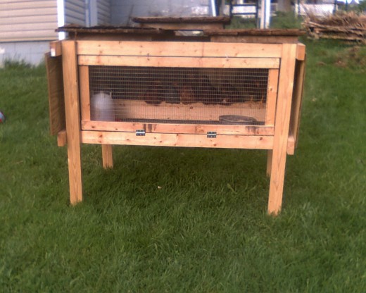I spent 3 days and $60 in materials on this coop.