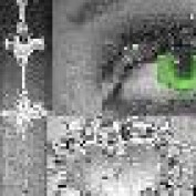 mphsglo profile image