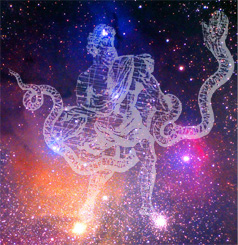 Ophiuchus Ophiuchus