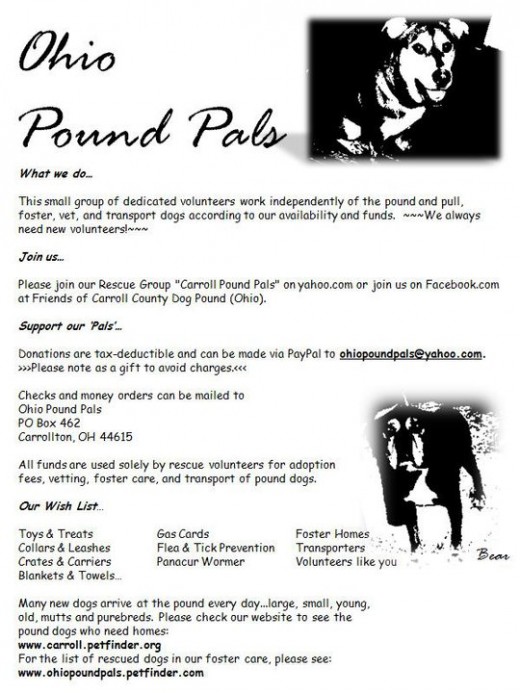 Flyer/hand-out for a great rescue in Ohio. Pictures belong to Ohio Pound Pals.