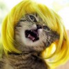 selgassim profile image
