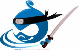 Drupal's logo (ninja version)