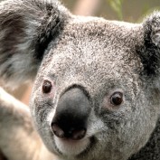It'sLiziNotLizzie profile image