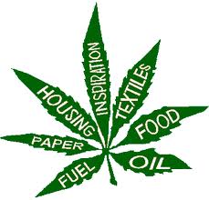 The many uses of hemp