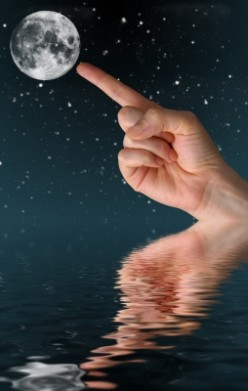 http://s4.hubimg.com/u/5933319_f248.jpg