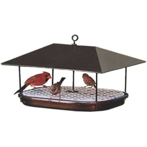 Duncraft 15401 Champion Squirrel Blocker Platform Feeder