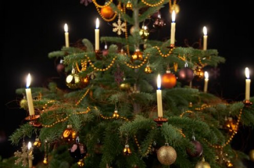 in retrospect of christ mass christmas trees and the in retrospect of christ mass christmas trees and the